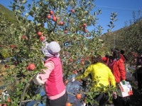 농산물품질관리원 포항울릉사무소 죽장탑푸르트 농장 체험행사