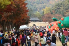 문경사과축제 성황리 폐막