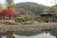 울긋불긋 오색단풍 경주보문단지 가을정취 물씬