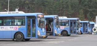 포항·경주 등 경북지역 시내·외버스 정상운행