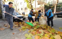 대구 달서구 클린 로드데이 성서산단 일원 낙엽 수거