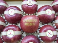영주시, 맞춤형 문자사과 제작 눈길