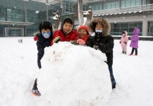 포항시청어린이집 원아들 눈사람 만들며 함박웃음