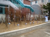 군위군산림조합(4종) | 군위산림조합, "나무 심으며 봄 맞을 준비해요"