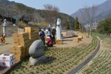 문경새재, 봄꽃 10만송이 피운다
