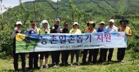 포항시 체육지원과 등 죽장 과수농가 일손돕기 지원