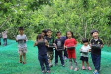 상주시 낙서초, 밤원마을서 오디따기 체험