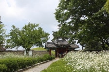 조화·공존의 만파식적 피리 소리로 태평성대 꿈꾸다