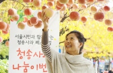 청송군, 빨간 빛깔·상큼한 맛에 두번 반하다
