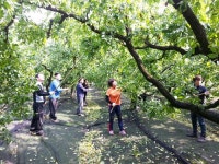경산 농·축협 직원, 대추 수확 일손돕기