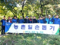 NH농협 청도군지부·산서농협, 감수확 일손돕기