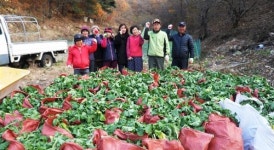 포항 용흥동주민센터, 무 수확 경로당 등지에 전달