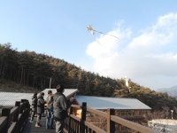 봉화 목재문화체험장, 전통민속체험 프로그램 운영