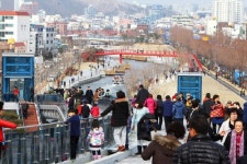 포항운하 유람선 타고 죽도시장서 회 한접시, 이 맛에 고향 옵니다