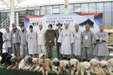 경산 삽살개, 전국 주요사찰 문화재 지킨다