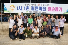 농관원 경북지원, 의성 효선마을서 양파·마늘 수확