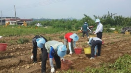 “농작업 근로 기피 요인 해소 제도적 시스템 구축 필요