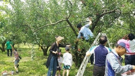 김천, 체험형 관광상품 그린 농식품투어 인기