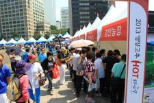 명품 영양고추 서울입맛 사로잡는다