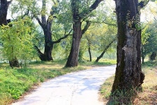경북의 근대문화유산 이야기 여행- 영양군