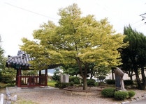 INI STEEL(주)포항2공장 | 포항의 고대 수수께끼를 푼다- (6)고대의 신광(神光)은 대단위 제철(製鐵) 공장 터였다
