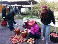 봉화교육지원청, 일손돕기