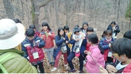 상주 옥산초, 칠곡서 숲 체험 교육
