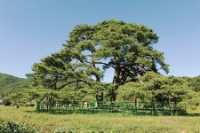 경북의 근대문화유산 이야기 여행 - 상주시