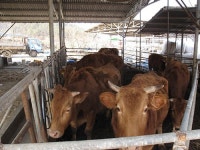 청년 농어업인, 경북이 미래다- (14) 군위 ‘원산농장’ 이승만씨