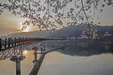 그림같은 안동 월영교…장관 연출