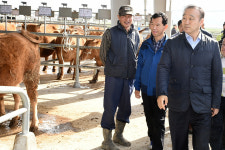경주가축시장 구제역 딛고 재개장
