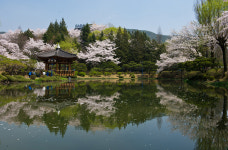경주 보문관광단지 확 달라진다