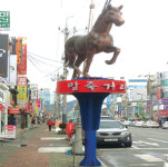 영천 말죽거리·야심만만 영주장터 조성사업