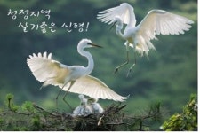 의성 신평 왜가리 축제 면민체육대회 22·23일 개최