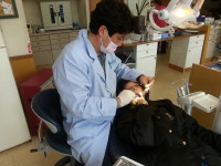 문경시치과의사회, 장애인에 틀니 지원