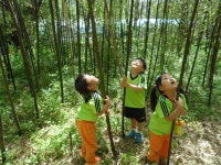 유강유치원, 누리과정 운영 우수 장관표창 받아