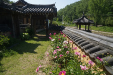 [정자] 19. 영천 귀애정(龜厓亭)