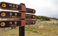 [자 떠나자] 하늘아래 첫동네 팔공산 하늘정원 도시생활 탈출...