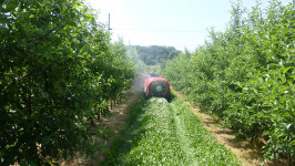 유용미생물 활용 시험사업 문경시, 친환경 농업 박차