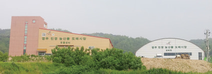 최신식 전자경매시스템 갖춘 농산물도매시장