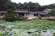 [정자] 24. 경주 종오정(從吾亭)