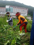구미 선산체육공원 환경정리