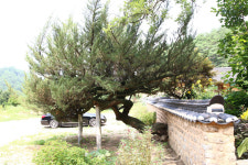 [종가] 26. 원주변씨 간재종택