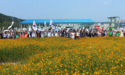 포항 장량동, 옛 쓰레기 매립장 황화코스모스 조성