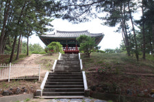 [정자] 33. 울진 월송정(越松亭)
