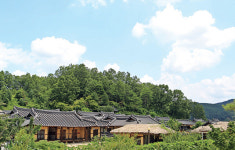 [가볼만한곳] 물 위에 떠 있는 섬…영주 무섬마을