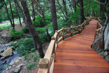 [한국의 힐링처 십승지] 13. 청도 화양