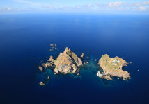 독도의 날 기념 최임수 독도사진 특별전