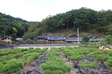 [종가] 32. 안동 내앞마을 의성김씨 종택