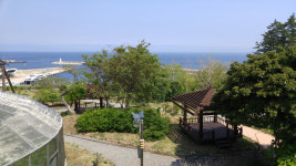 울릉자생식물원, 수목원으로 등록될듯